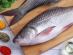 Fresh Fish